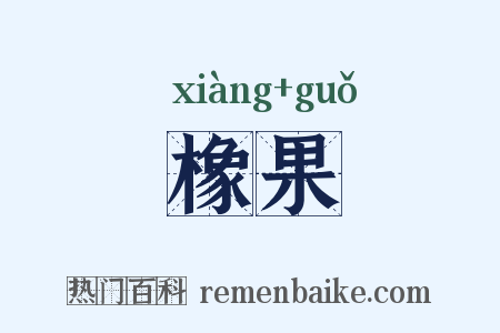 橡果是什么意思的图片